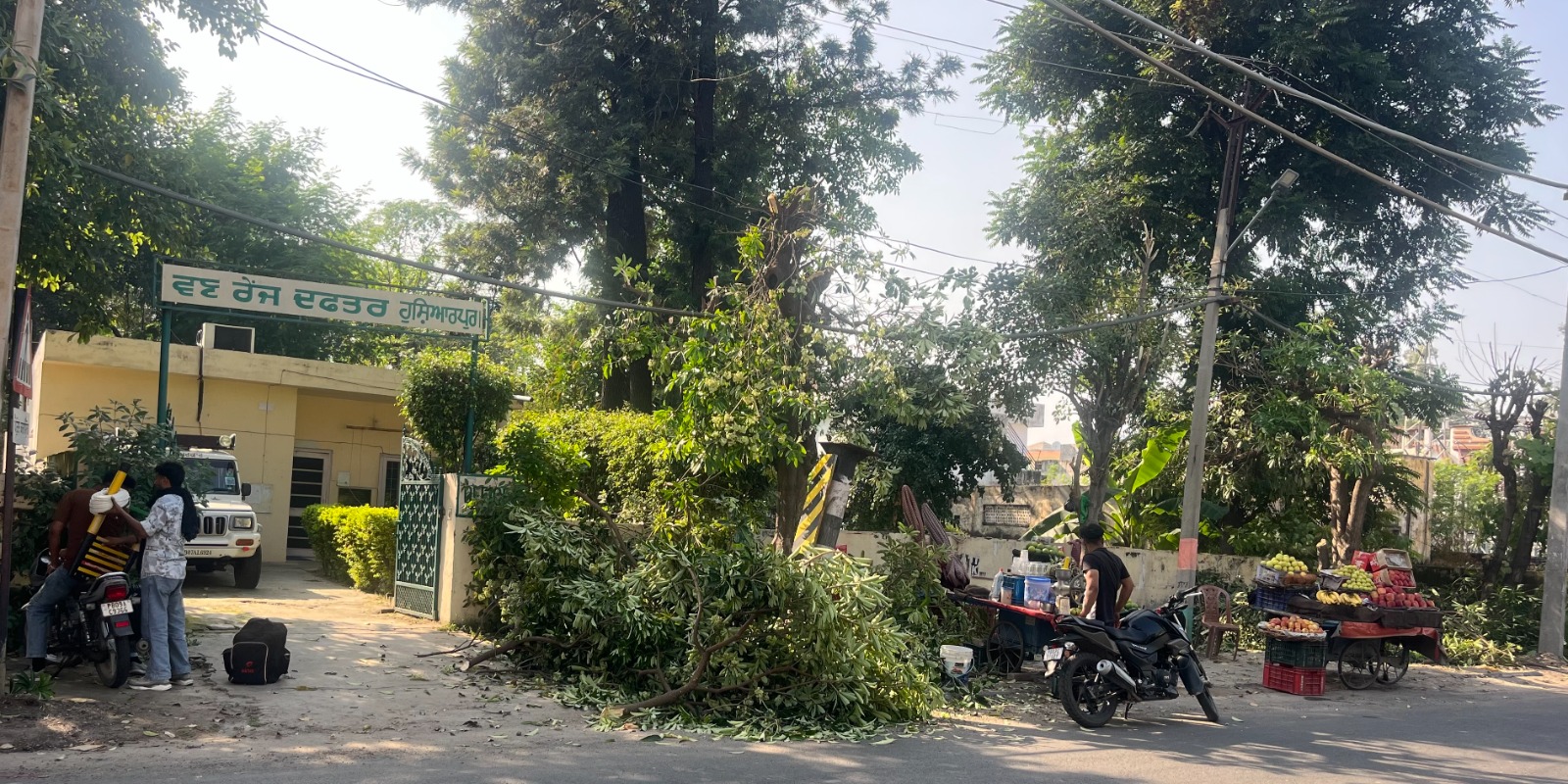 Trees cut in front of the forest range office in Hoshiarpur; Save the trees that are teaching others.